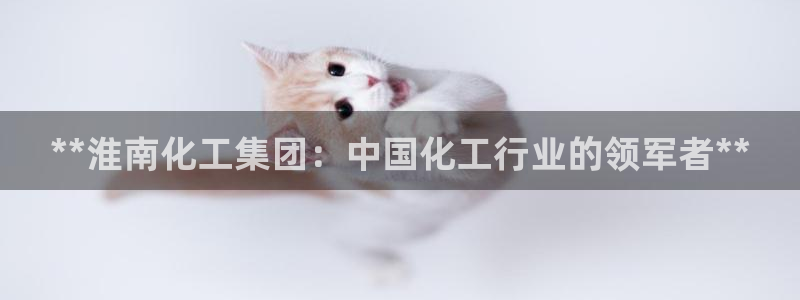 球盟会官网：**淮南化工集团：中国化工行业的领军者**