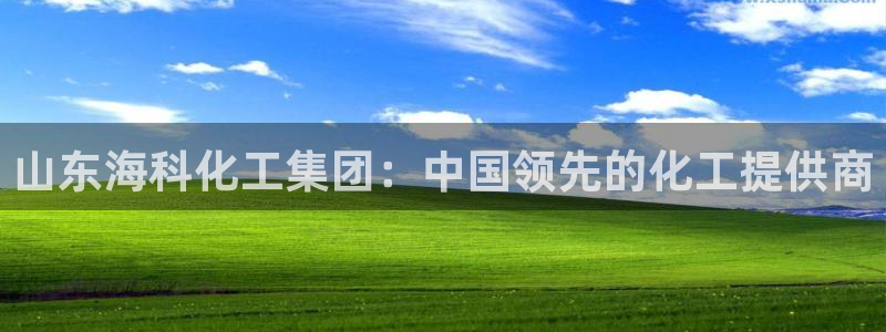 球盟会优惠码：山东海科化工集团：中国领先的化工提供商