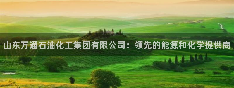 球盟会电子好黑：山东万通石油化工集团有限公司：领先的能源和化