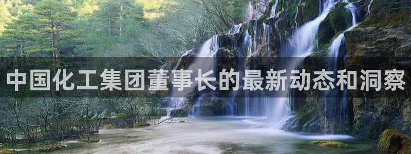 球盟会地址：中国化工集团董事长的最新动态和洞察
