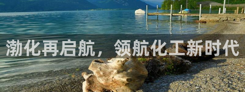 球盟会手机网页版：渤化再启航，领航化工新时代