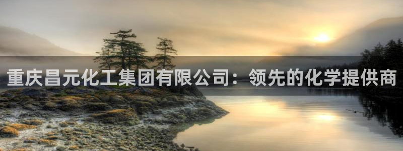 球盟会网页版登陆：重庆昌元化工集团有限公司：领先的化学提供商