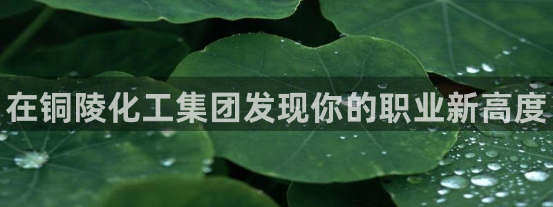 球盟会可靠不