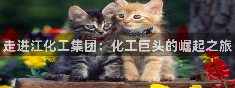 球盟会在线登入