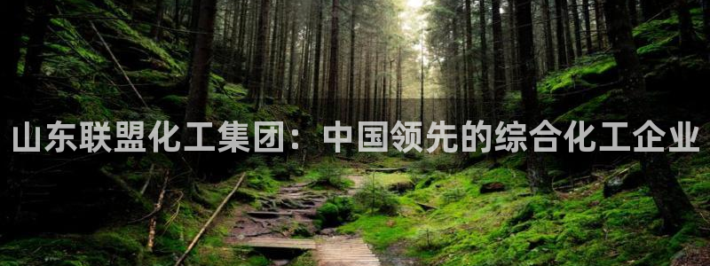 球盟会娱乐平台：山东联盟化工集团：中国领先的综合化工企业