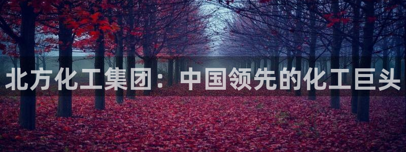 球盟会优惠码