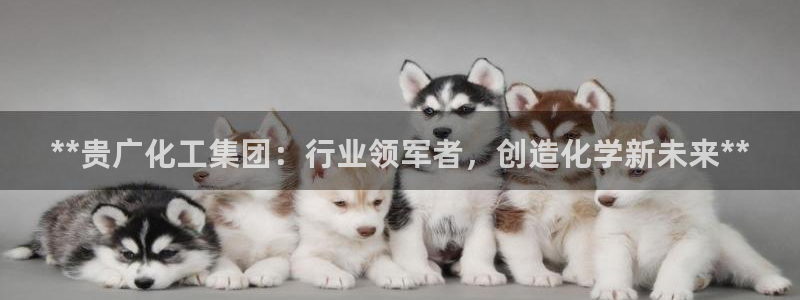 球盟会里面有打牌的嘛