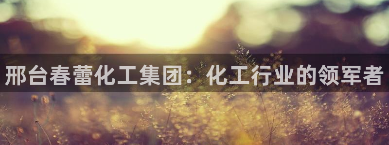 球盟会黑台子