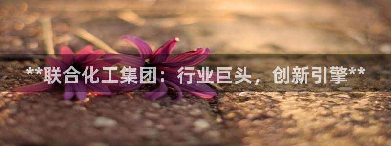 球盟会类似的网站