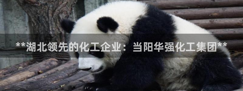 球盟会官方网站app：**湖北领先的化工企业：当阳华强化工集