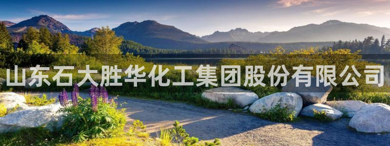球盟会app：山东石大胜华化工集团股份有限公司