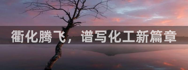 球盟会登录入口：衢化腾飞，谱写化工新篇章