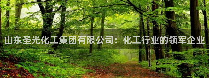 球盟会app最新地址下载：山东圣光化工集团有限公司：化工行业