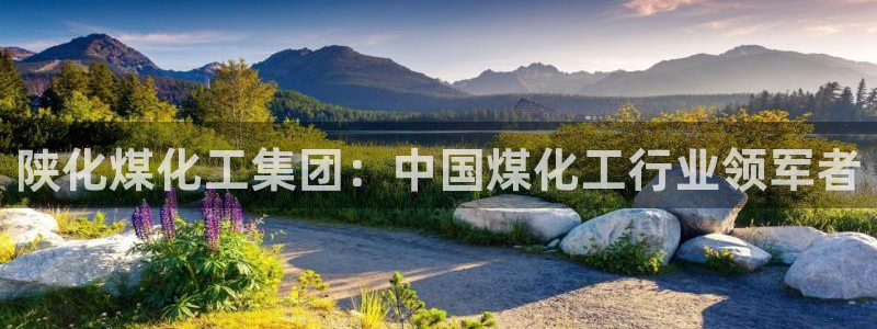 球盟会在线官网：陕化煤化工集团：中国煤化工行业领军者