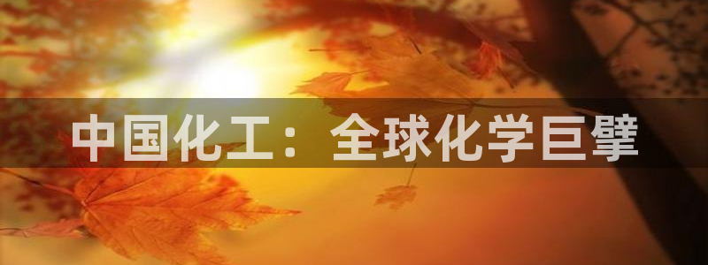 球盟会头号玩家是谁：中国化工：全球化学巨擘