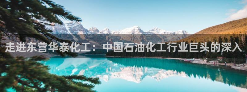 球盟会黑款吗知乎