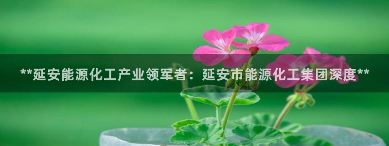 球盟会官方网站：**延安能源化工产业领军者：延安市能源化工集