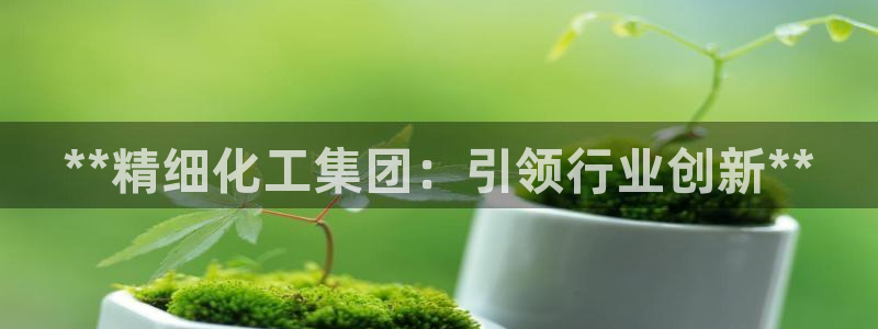 球盟会官方网址入口：**精细化工集团：引领行业创新**
