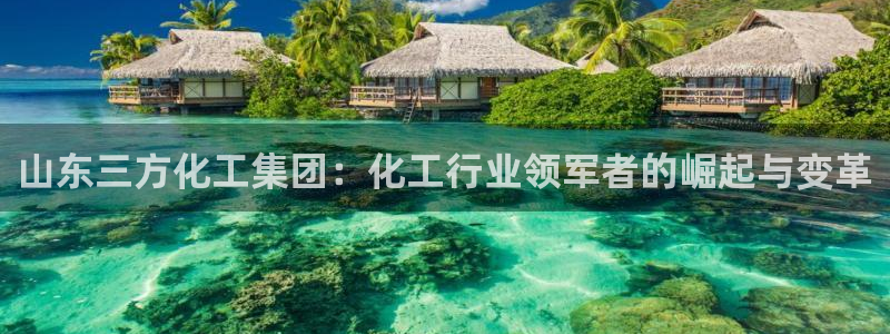 球盟会APP官网