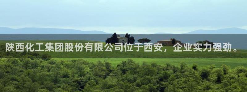 球盟会中国官方网站：陕西化工集团股份有限公司位于西安，企业实