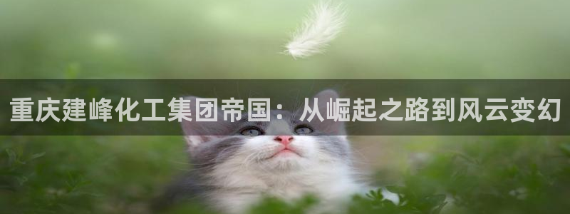 球盟会可以提现么是真的吗