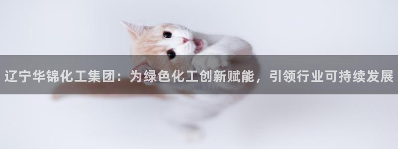 球盟会能退钱吗：辽宁华锦化工集团：为绿色化工创新赋能，引领行