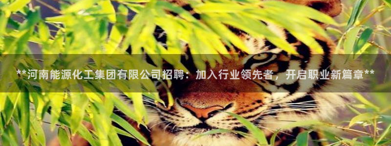 球盟会官方最新入口：**河南能源化工集团有限公司招聘：加入行