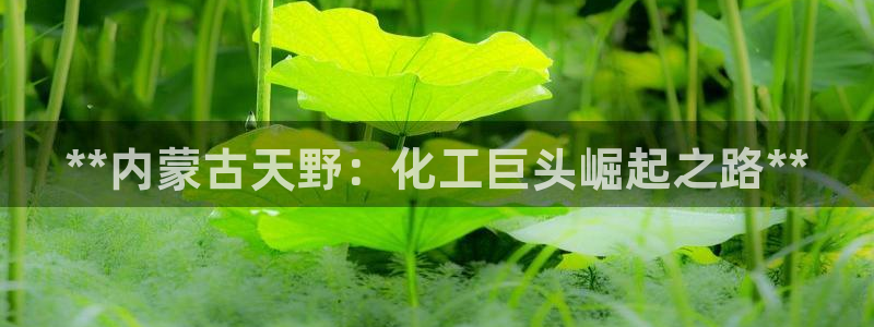 球盟会能提现吗