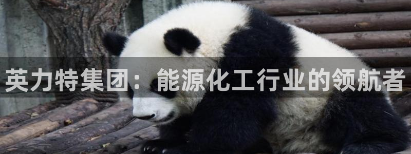球盟会qmh官网