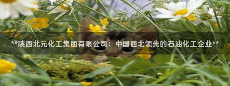 球盟会娱乐平台：**陕西北元化工集团有限公司：中国西北领先的