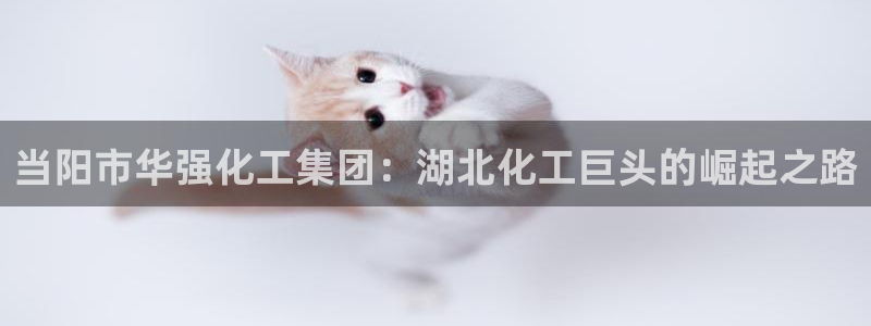 球盟会APP下载