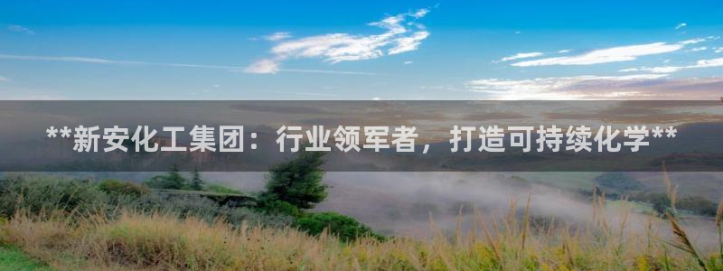 球盟会登录入口：**新安化工集团：行业领军者，打造可持续化学