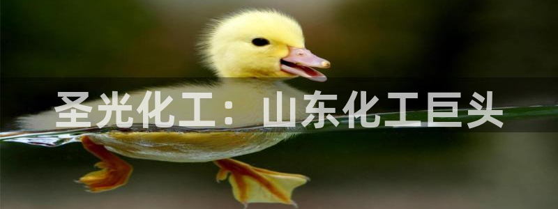球盟会电子好下吗：圣光化工：山东化工巨头