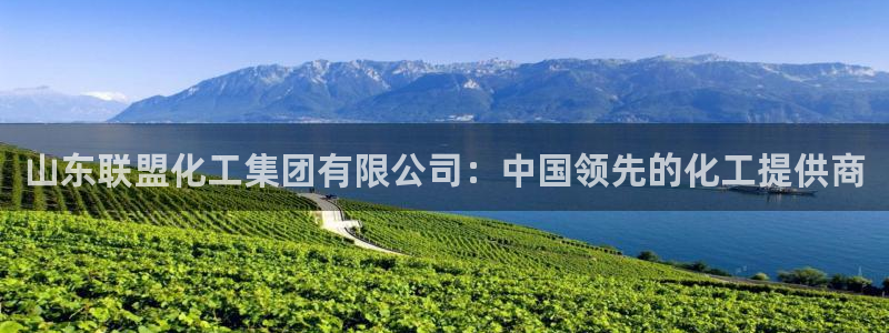 球盟会乐虎：山东联盟化工集团有限公司：中国领先的化工提供商