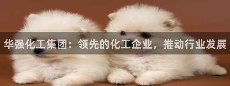 千亿球盟会乐玩：华强化工集团：领先的化工企业，推动行业发展