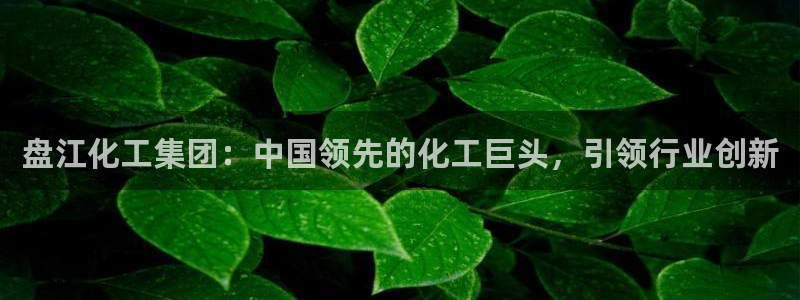 球盟会黑台：盘江化工集团：中国领先的化工巨头，引领行业创新