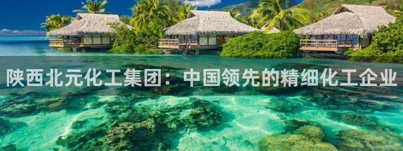 球盟会有没有黑单的活动：陕西北元化工集团：中国领先的精细化工