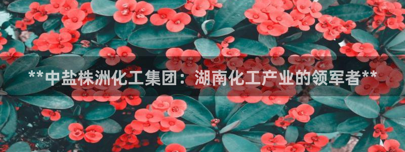 球盟会能退钱吗是真的吗：**中盐株洲化工集团：湖南化工产业的