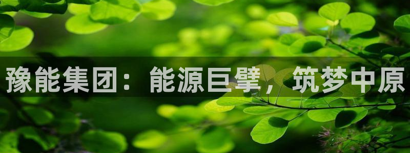 球盟会qmh网页版登录：豫能集团：能源巨擘，筑梦中原
