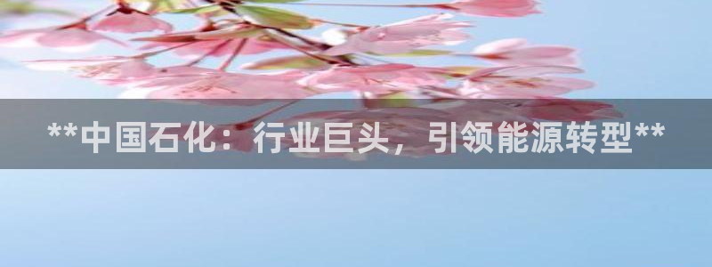 球盟会app最新地址下载：**中国石化：行业巨头，引领能源转