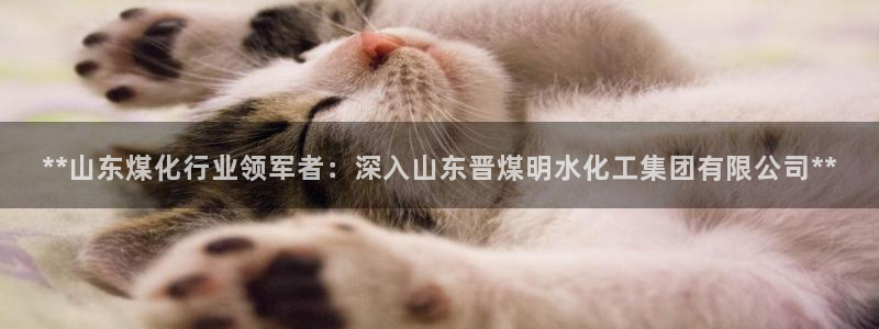 球盟会网址：**山东煤化行业领军者：深入山东晋煤明水化工集团