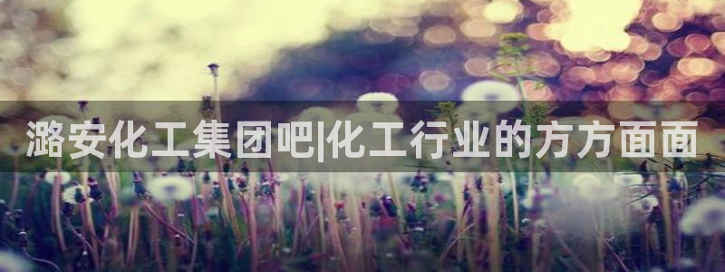 球盟会官网入口
