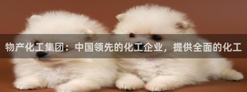 球盟会qmh网页版登录 - qm球盟会官方网站：物产化工集团
