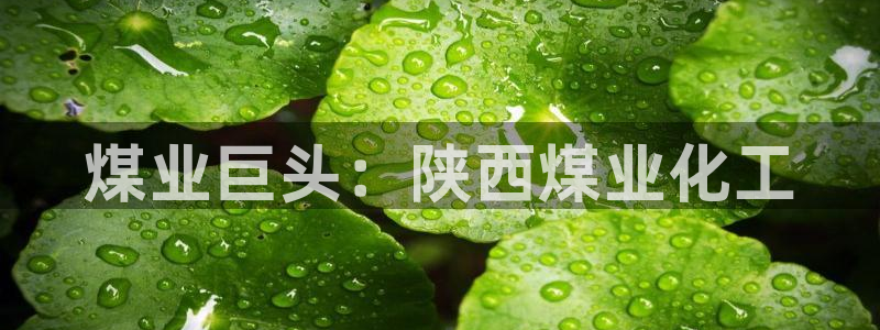 球盟会网页登录：煤业巨头：陕西煤业化工
