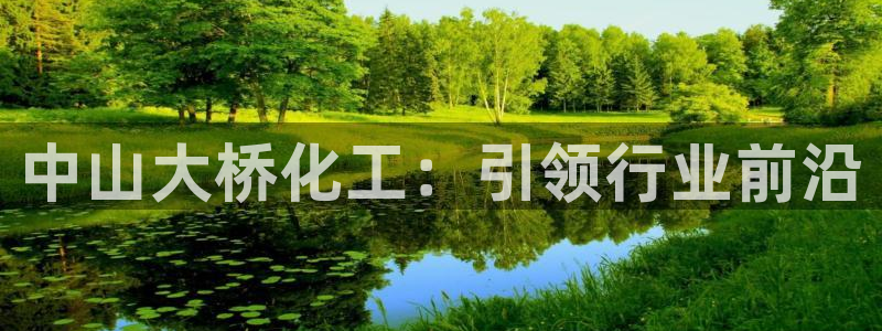 球盟会登录网址：中山大桥化工：引领行业前沿