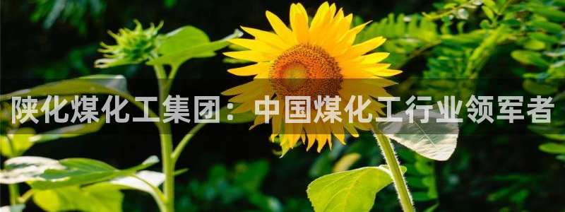 球盟会qmh - 球盟会官方网站