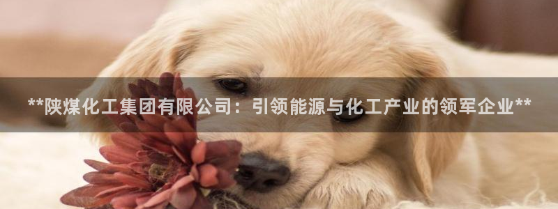球盟会电子游戏平台：**陕煤化工集团有限公司：引领能源与化工