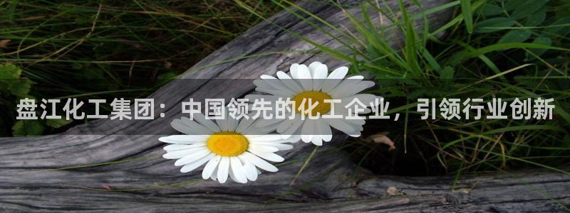 球盟会登陆中心：盘江化工集团：中国领先的化工企业，引领行业创