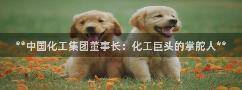 球盟会贴吧