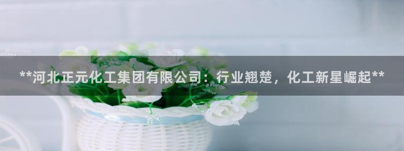 球盟会黑钱